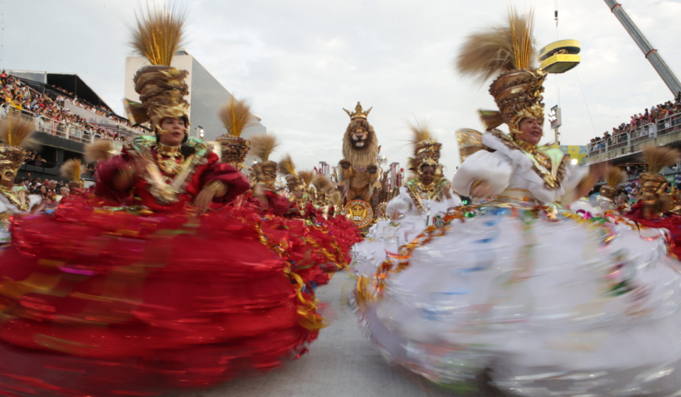 55109759445_3bdbfc86ff_o